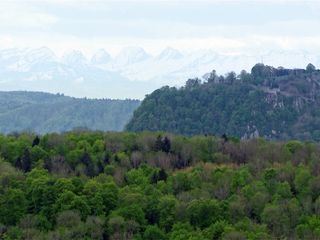 Vulkane am Bodensee - eine Zeitreise