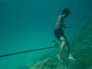 One Strange Rock One Strange Rock