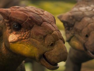 Unter Dinos - Geheimnisse der Urzeit