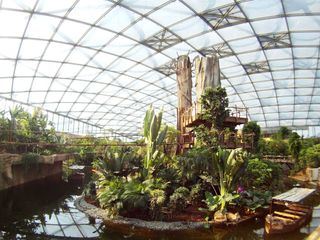 Das Gondwanaland in Leipzig: Urwald in der Grossstadt