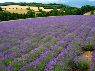 Toskana, Provence, Suedsee - Die ganze Welt in NRW 