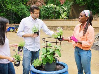 Homegrown - Aus Liebe zum Garten