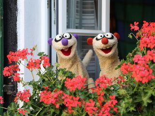 Ein Fall fuer die Erdmaennchen