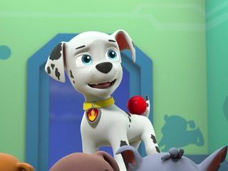 Paw Patrol: Helfer auf vier Pfoten Paw Patrol: Helfer auf vier Pfoten