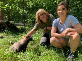 Anna und die wilden Tiere