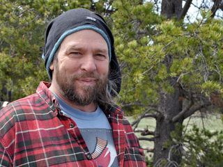 Bisons, die sanften Riesen von Montana