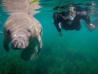 Das Überleben der Langsamsten
