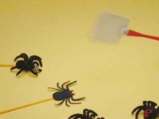 (Fast) Die ganze Wahrheit