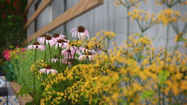 Virtual Designs - Unser Traumgarten wird real