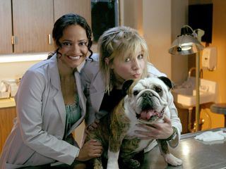 Scrubs - Die Anfaenger