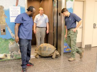 Bronx Zoo - Tierpark der Superlative