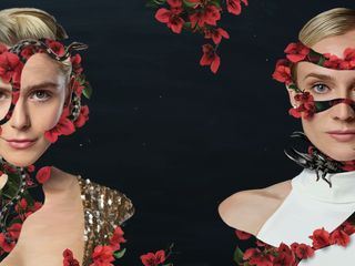 Swimming With Sharks