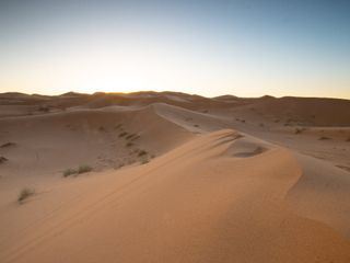 Afrikas wilde Wunderwelt