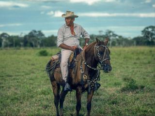 Das Nazi-Kartell Das Nazi-Kartell