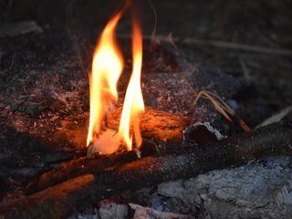Die Geheimnisse der Wikinger