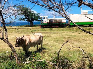Mit dem Zug auf St. Kitts