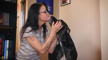 Tierarzt Dr. Jeff - Der Rocky Mountain Doc