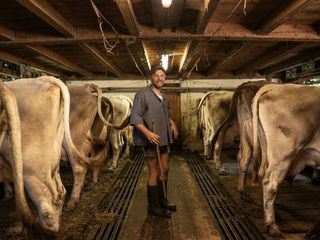 Wozu noch ackern? Landwirtschaft in Gefahr