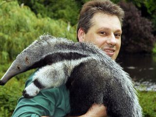 Panda, Gorilla & Co. spezial