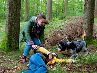 Tiere bis unters Dach