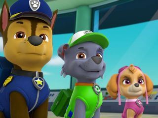Paw Patrol - Helfer auf vier Pfoten