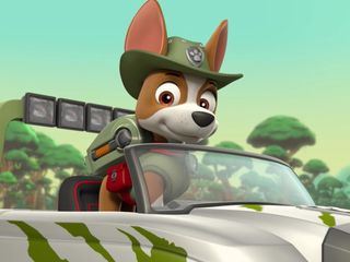 PAW Patrol - Helfer auf vier Pfoten PAW Patrol - Helfer auf vier Pfoten