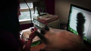 Der Katzenfluesterer