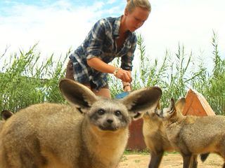 Das Waisenhaus fuer wilde Tiere