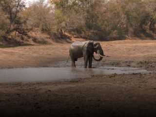 Team Wildlife Suedafrika