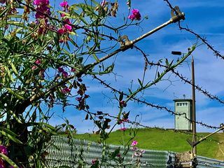 Mauer, Bunker, Gruenes Band - Die neue Erinnerungskultur