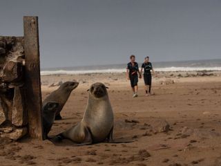 SWR Reisehelden: Running wild in Africa