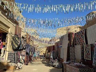 Oasen - Inseln des Lebens