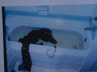 Bloodline Detectives - Die DNA der Taeter