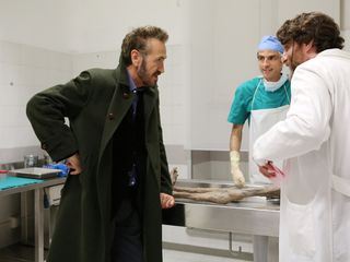 Der Kommissar und die Alpen