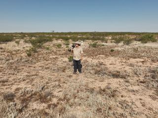 Verschwoerungen - Die Wahrheit der Anderen