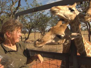 Das Waisenhaus fuer wilde Tiere