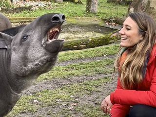 Superkraft Charisma - So maechtig und so manipulativ