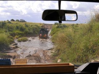 Hyaenen - Die Koeniginnen der Masai Mara