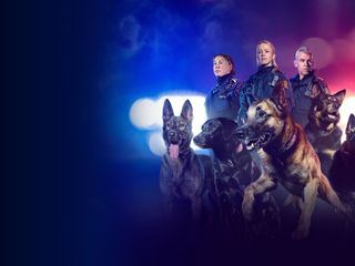 Police Dogs