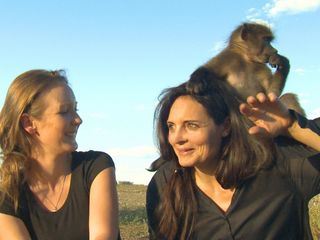Das Waisenhaus fuer wilde Tiere