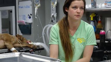 Tierarzt Dr. Jeff - Der Rocky Mountain Doc