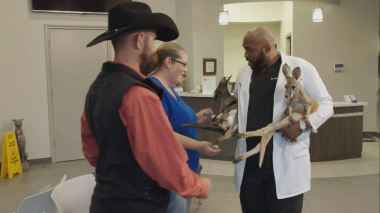 Die Tieraerzte von Houston