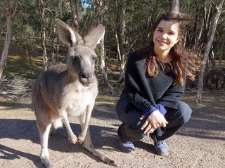 Anna und die wilden Tiere