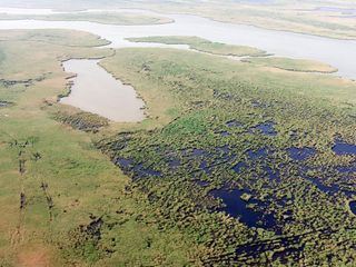 Expedition ins Schilf - Nationalpark Neusiedler See