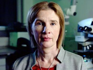 Auf den Spuren eines Kindermoerders