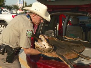 Lone Star Law - Die Gesetzeshueter von Texas