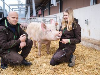 Passt, wackelt und hat Luft