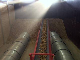 Feldkueche - Vom Acker direkt in den Topf