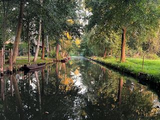 rbb24 Reportage: Wildnis statt Spreewald?
