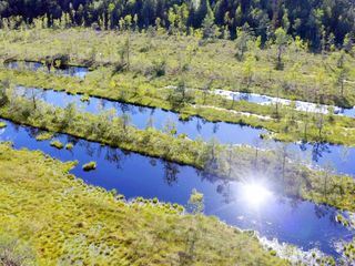 Die Macht der Moore - Wie sie unser Klima beeinflussen